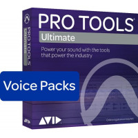 Avid 256 Voice Perpetual Voice Pack